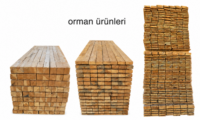 Orman Ürünleri